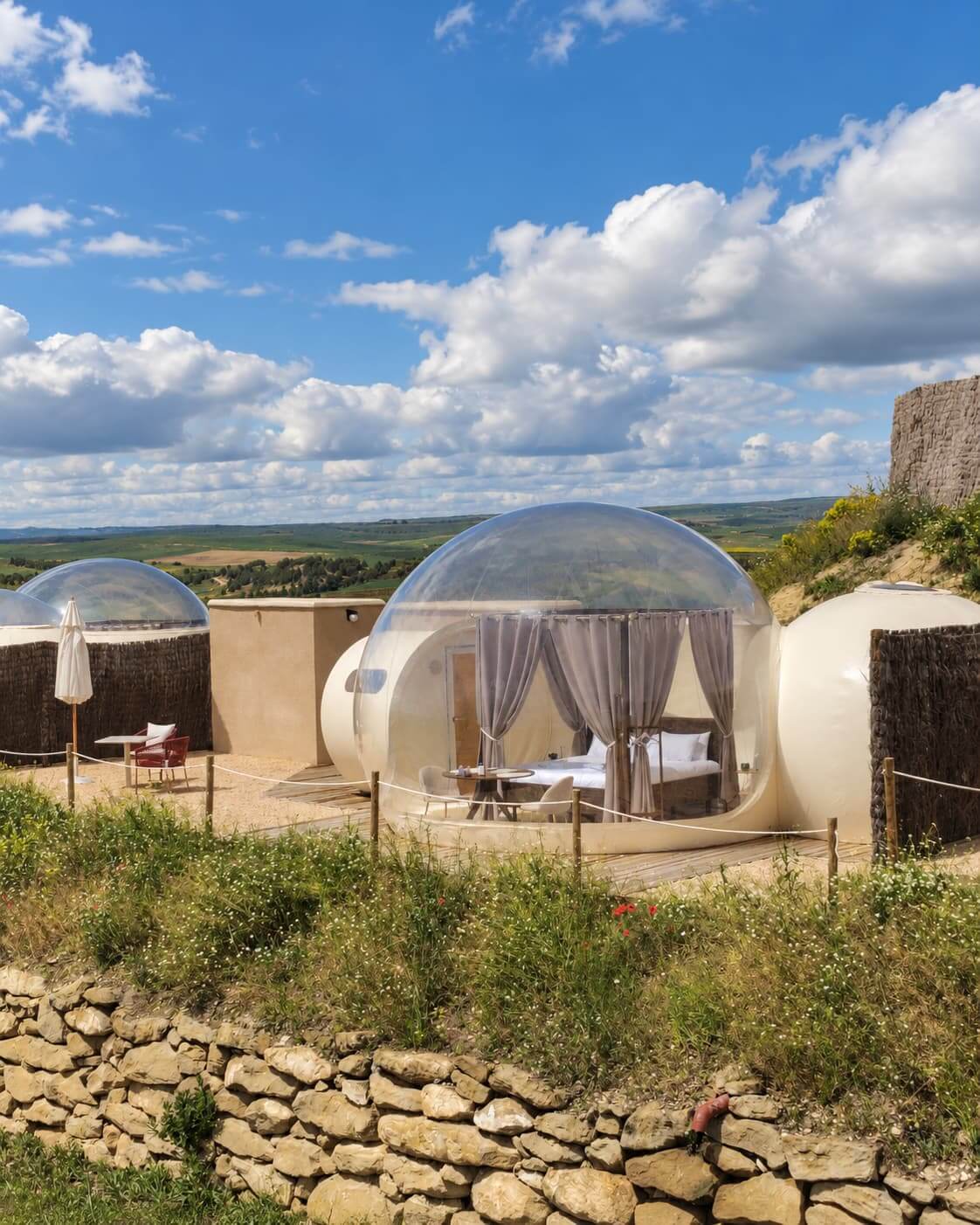 Suite burbuja wine bubble